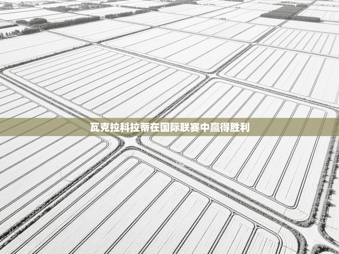 瓦克拉科拉蒂在国际联赛中赢得胜利 第1张