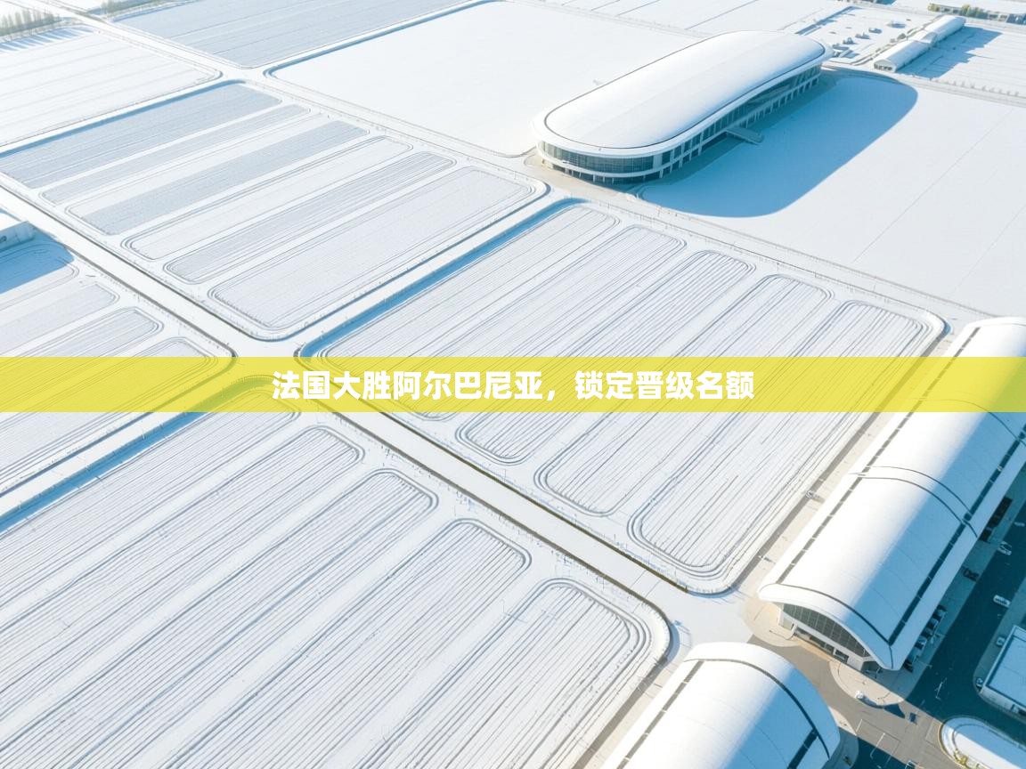 法国大胜阿尔巴尼亚，锁定晋级名额  第2张