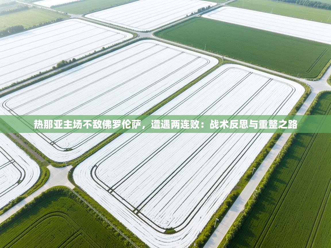 热那亚主场不敌佛罗伦萨，遭遇两连败：战术反思与重整之路  第1张