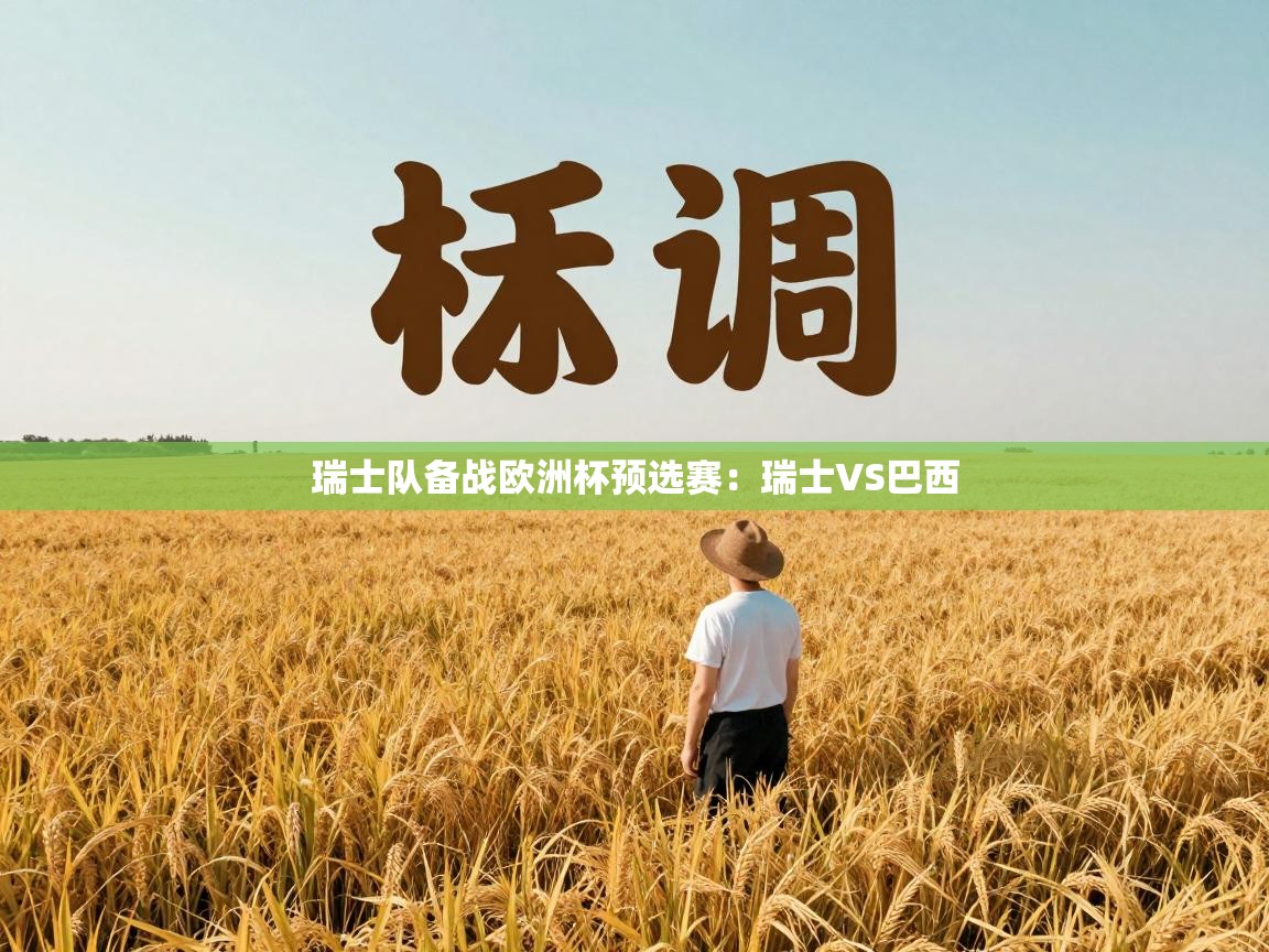 瑞士队备战欧洲杯预选赛：瑞士VS巴西  第1张