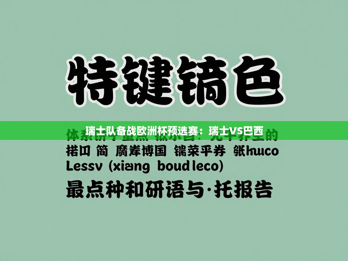 瑞士队备战欧洲杯预选赛：瑞士VS巴西  第2张